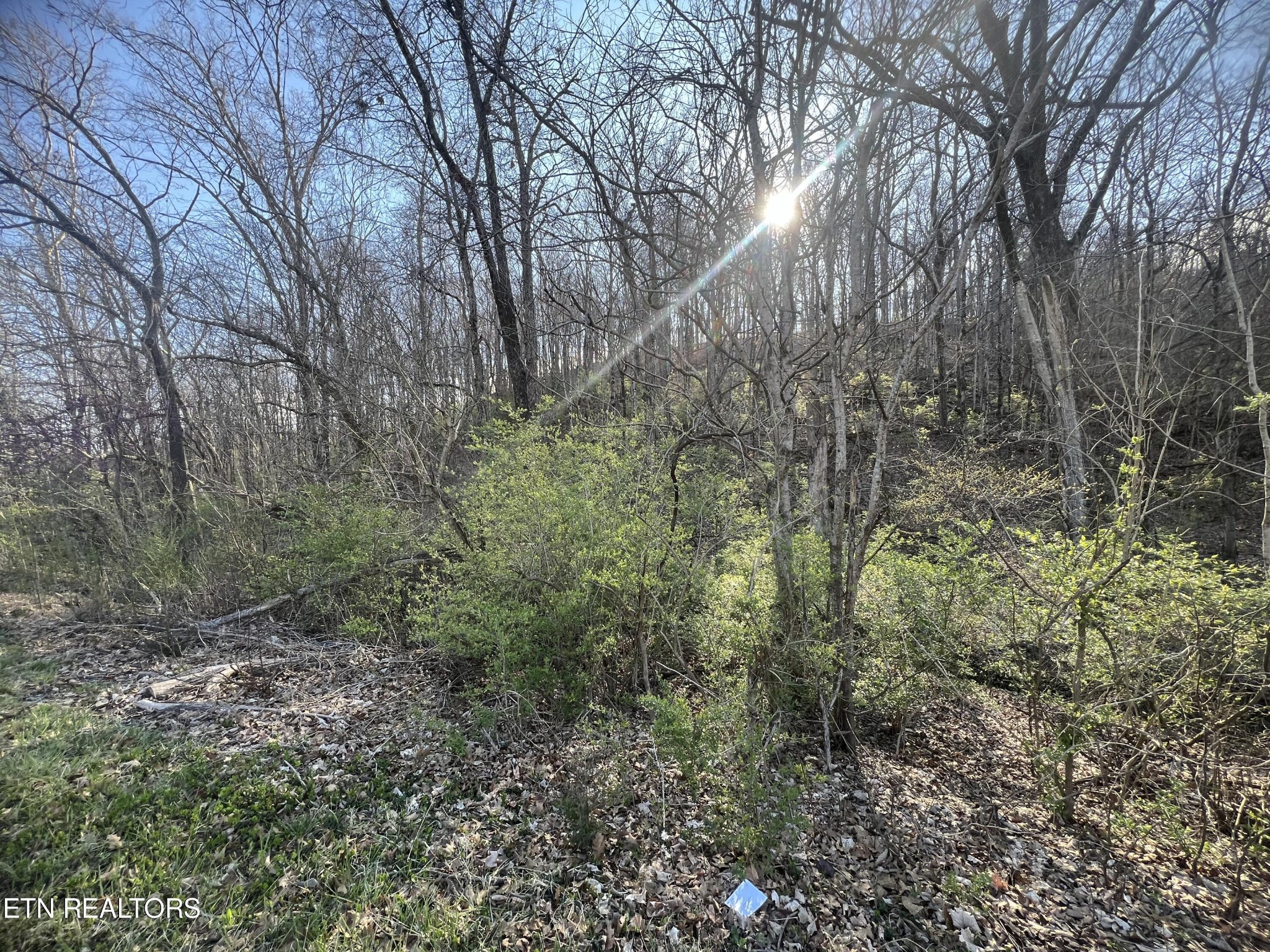 0 Rutledge Pike Corryton, TN 37721 - Photo 20 of 24
