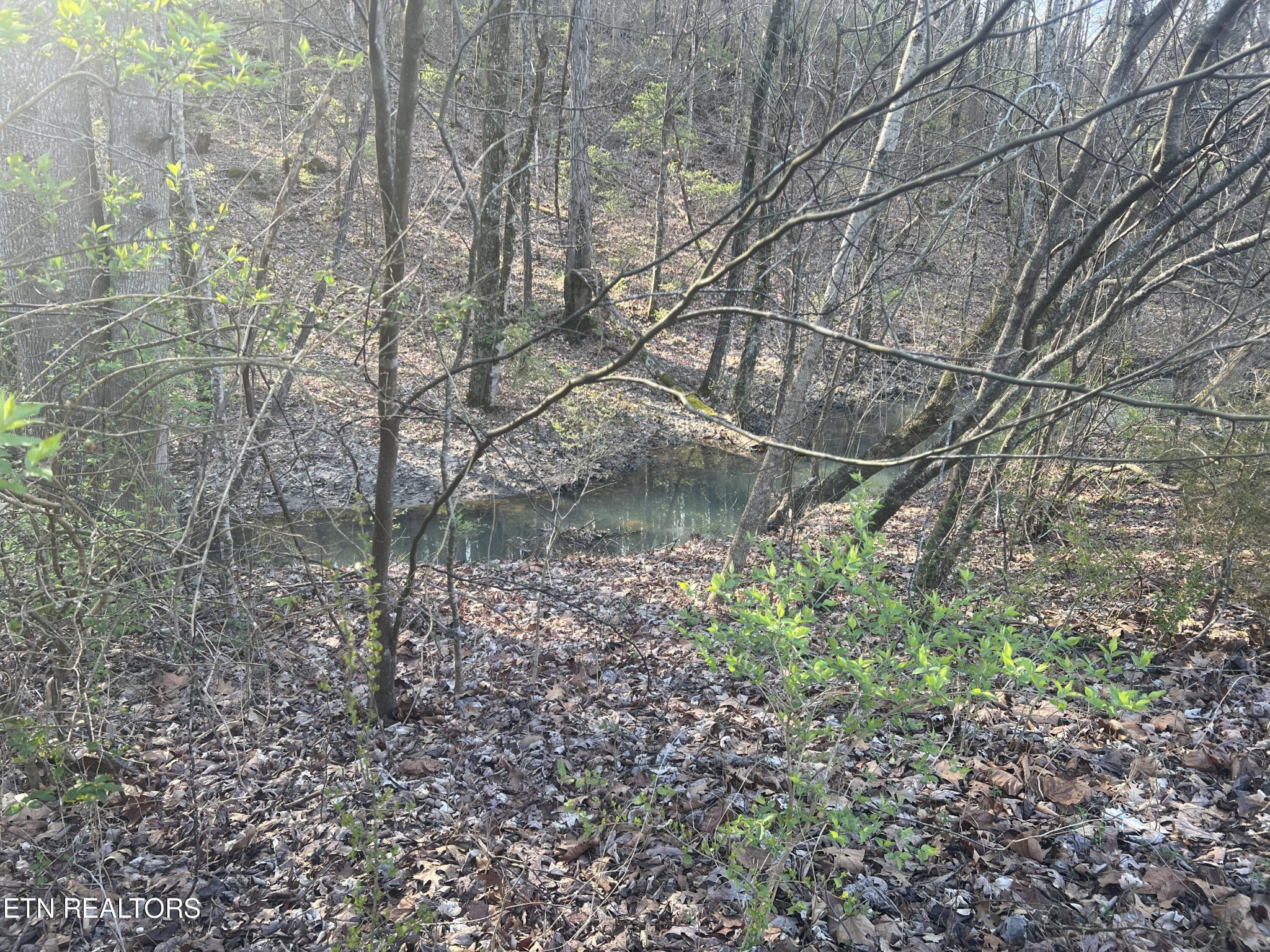 0 Rutledge Pike Corryton, TN 37721 - Photo 22 of 24
