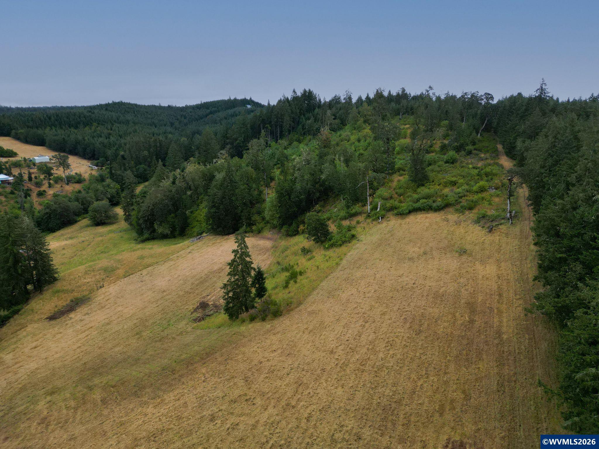 Liberty (lot26) Road Dallas, OR 97338 - Photo 5 of 14 Gallery Image 5