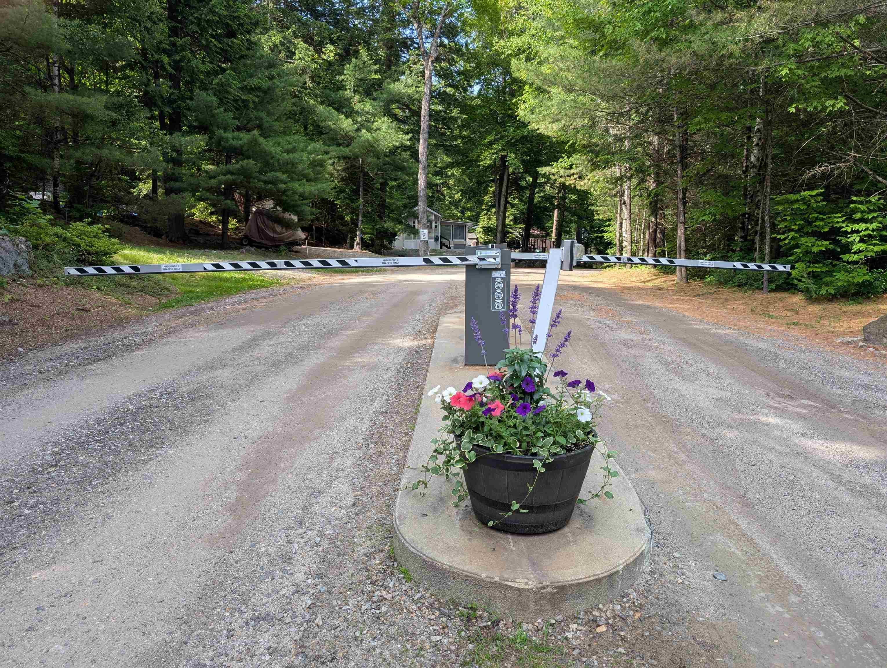 14 Overlook Road, Unit AKA 3) Holderness, NH 03245 - Photo 49 of 55