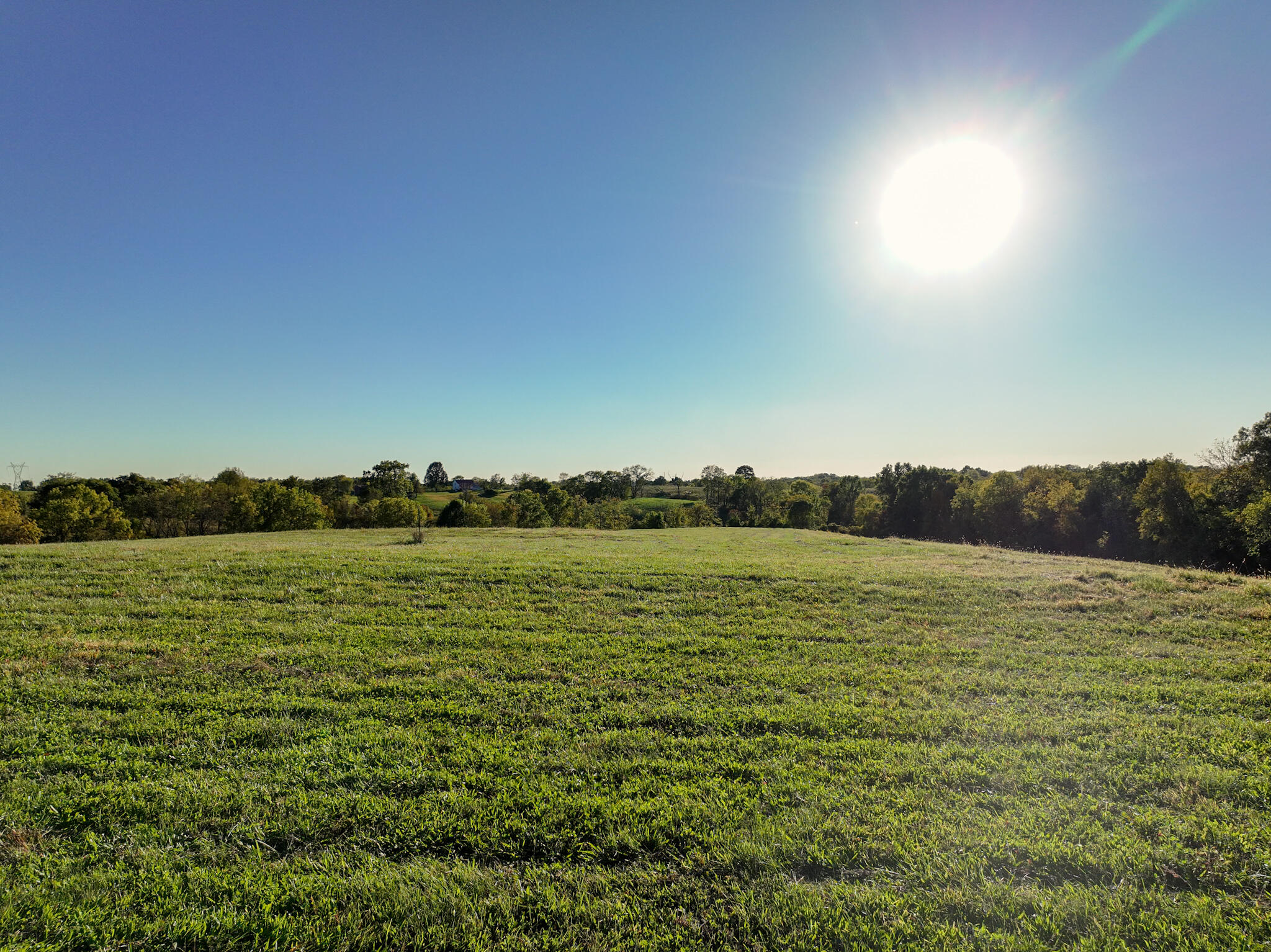 0 Stafford Ridge Road Sanders, KY 41083 - Photo 4 of 8