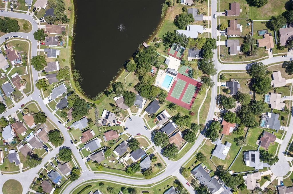 1206 Sawgrass Court Oldsmar, FL 34677 - Photo 30 of 30