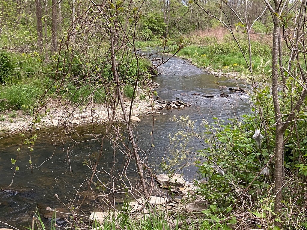 605 County Road Canaseraga, NY 14822 - Photo 21 of 29