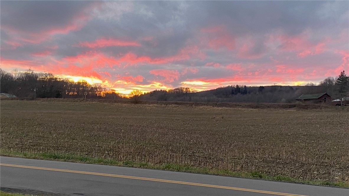 605 County Road Canaseraga, NY 14822 - Photo 3 of 29