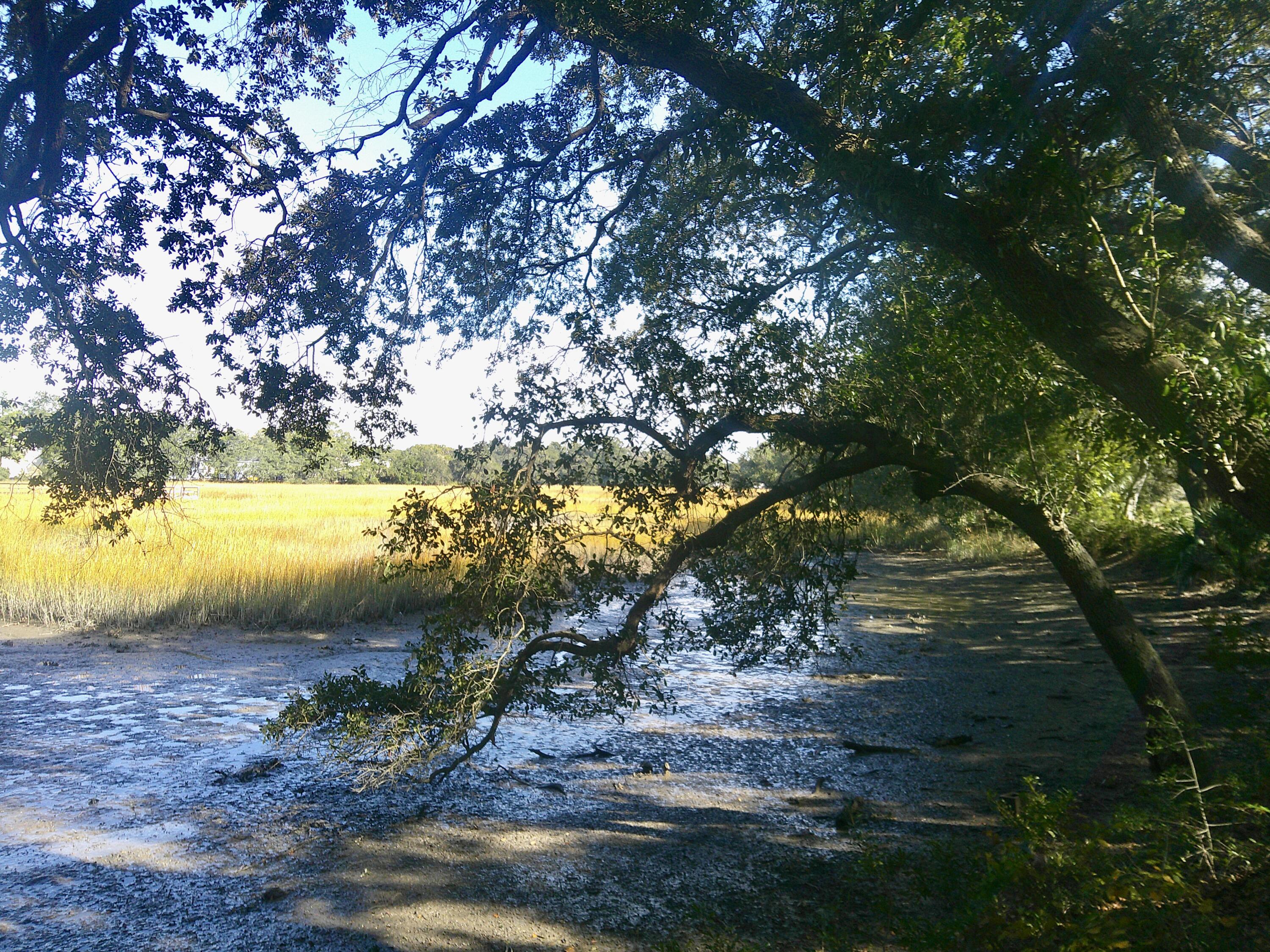 1402 Camp Road, Unit 15E Charleston, SC 29412 - Photo 17 of 19 IMG_7724