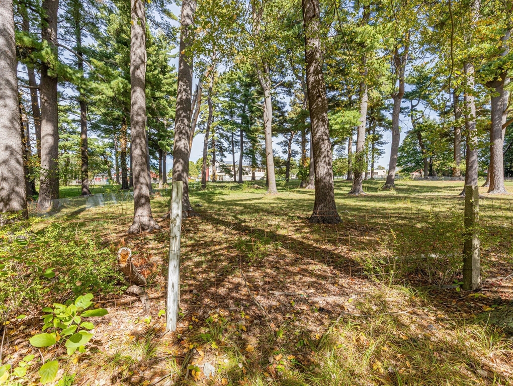 70 Gould Street Walpole, MA 02081 - Photo 2 of 7