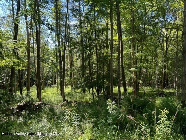 98 Norwegian Road Prattsville, NY 12468 - Photo 13 of 13 11401415-H81NfMp6FKgxp2lY