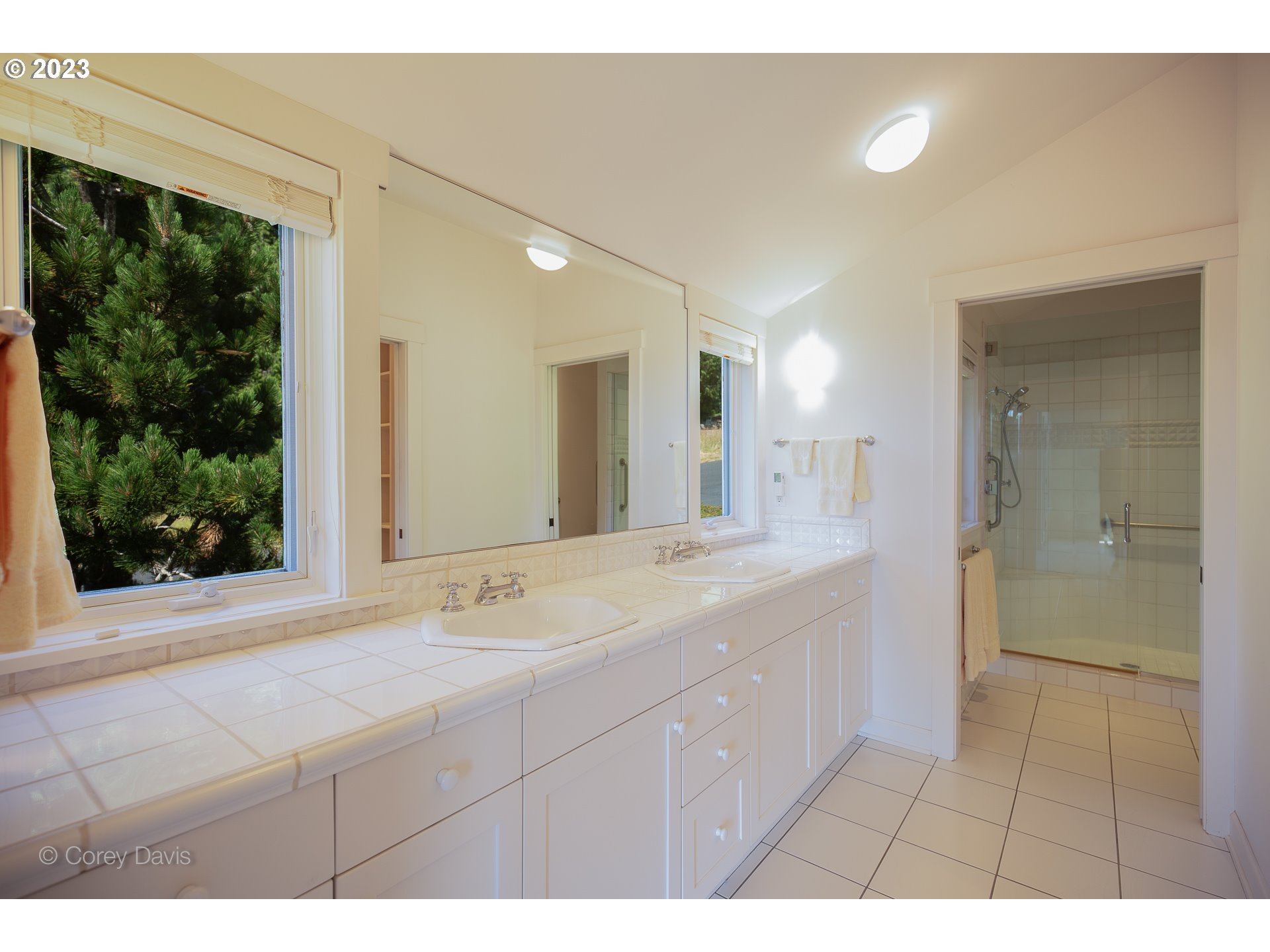 38680 Meadow Loop Nehalem, OR 97131 - Photo 22 of 44 a bathroom with a sink shower and a mirror