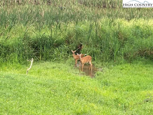 $129,500 | 17 Twin Oaks Mountain Boulevard, Sparta, NC 28675