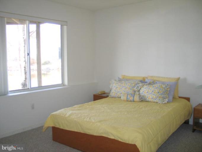 11573 Greenwich Point Road Reston, VA 20194 - Photo 14 of 30 Bedroom on the Lower Level