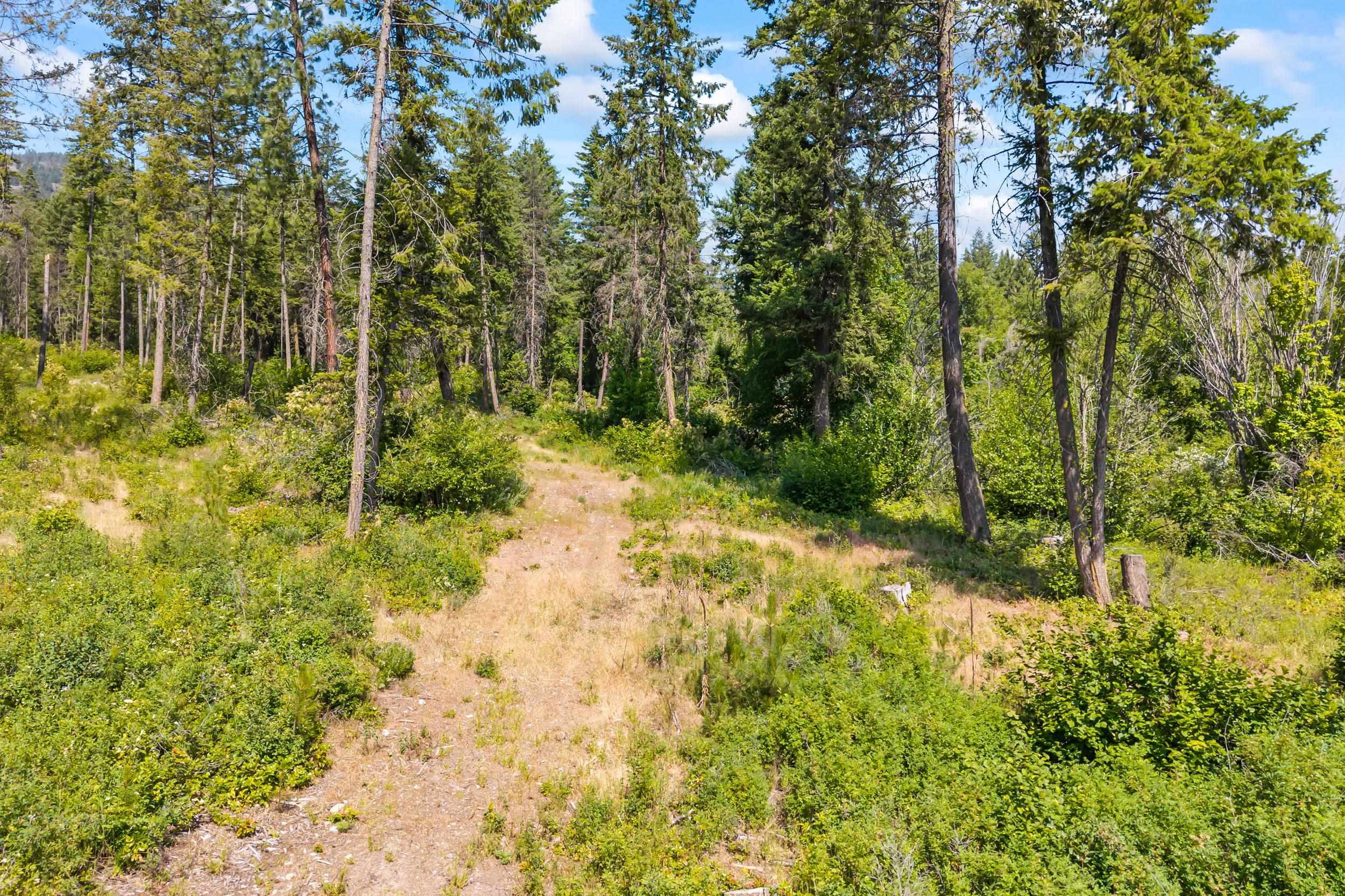 8-xx Nancy Creek Road Kettle Falls, WA 99141 - Photo 14 of 46