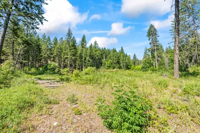 $235,000 | 8-xx Nancy Creek Road, Kettle Falls, WA 99141