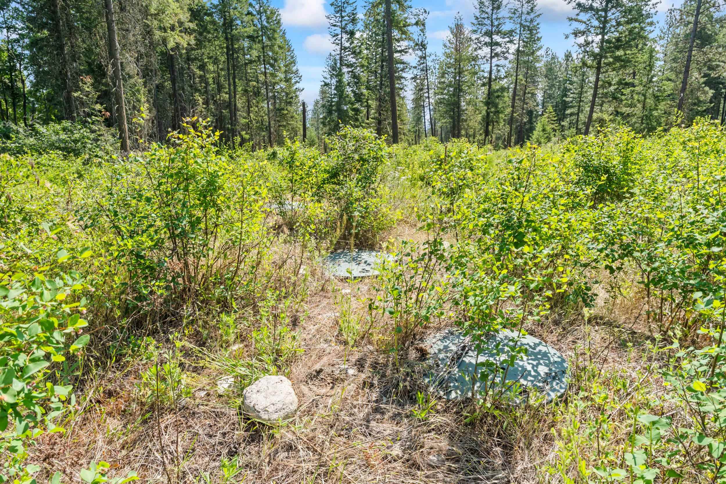 8-xx Nancy Creek Road Kettle Falls, WA 99141 - Photo 19 of 46