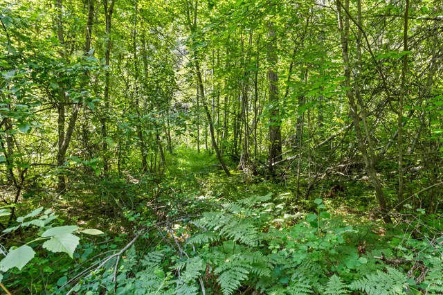 $235,000 | 8-xx Nancy Creek Road, Kettle Falls, WA 99141