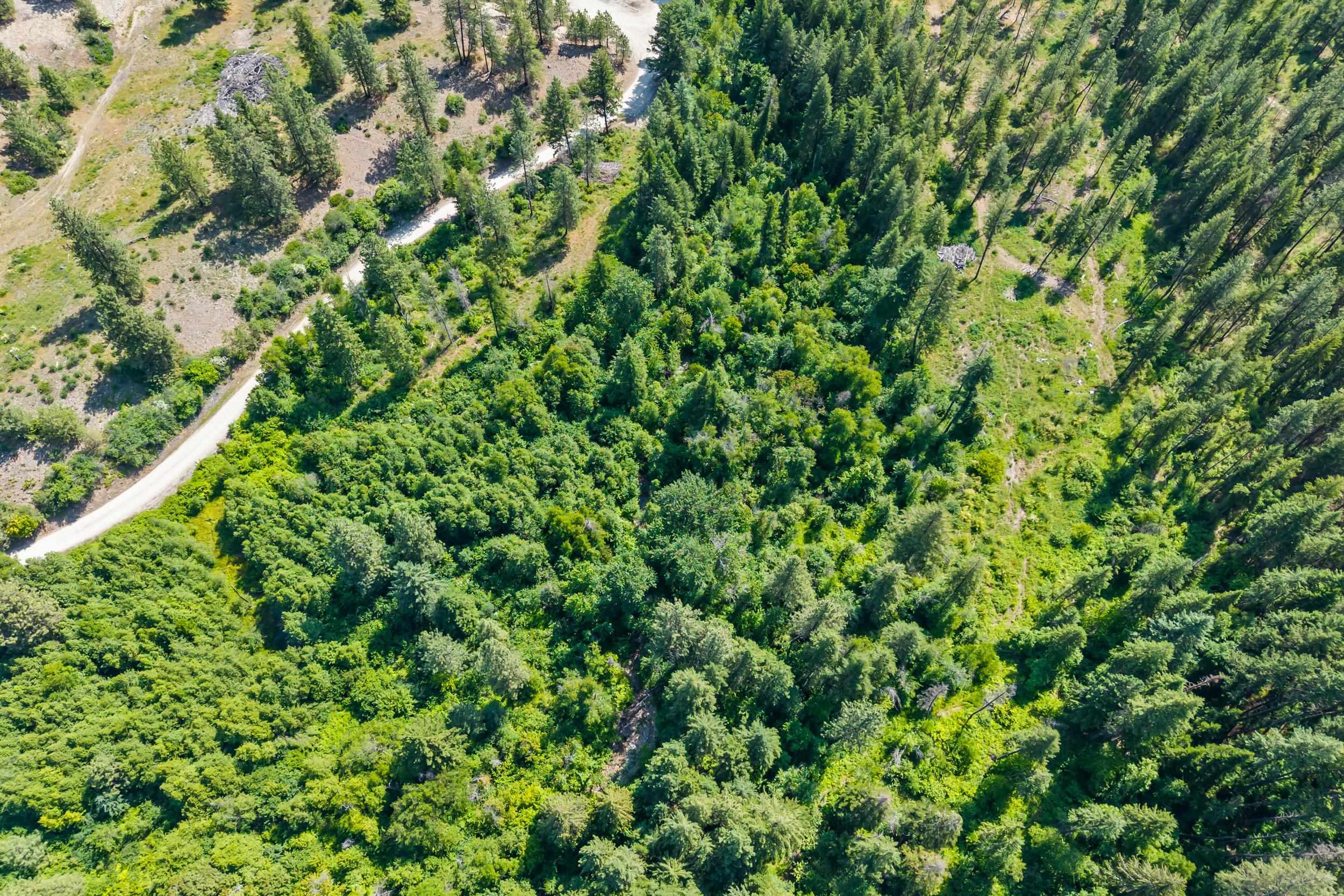 8-xx Nancy Creek Road Kettle Falls, WA 99141 - Photo 21 of 46