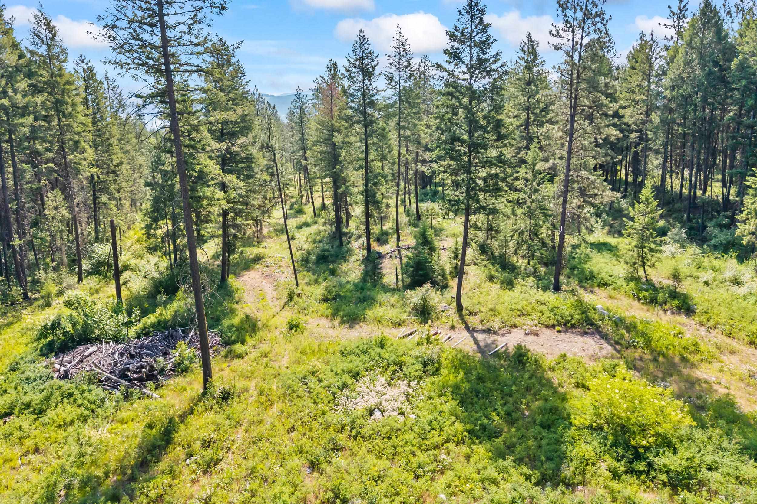 8-xx Nancy Creek Road Kettle Falls, WA 99141 - Photo 22 of 46