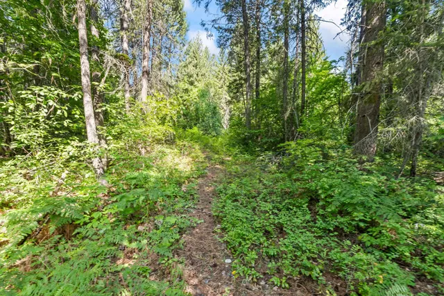 $235,000 | 8-xx Nancy Creek Road, Kettle Falls, WA 99141
