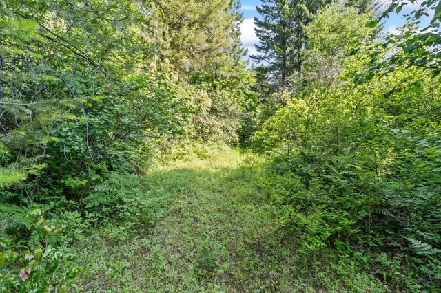$235,000 | 8-xx Nancy Creek Road, Kettle Falls, WA 99141