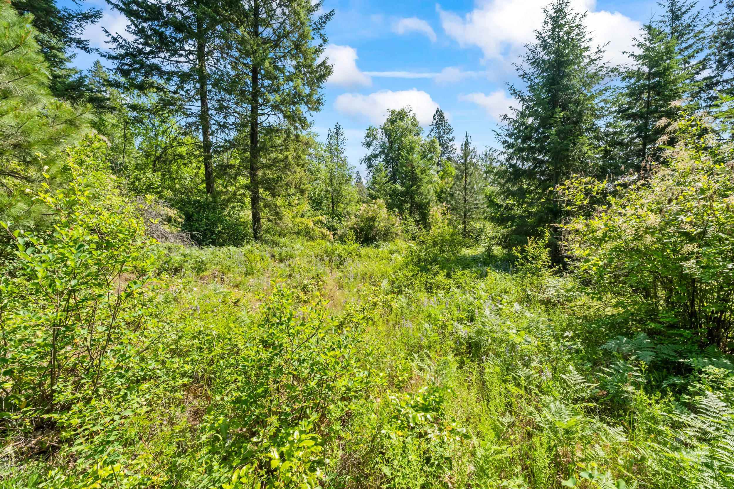 8-xx Nancy Creek Road Kettle Falls, WA 99141 - Photo 25 of 46