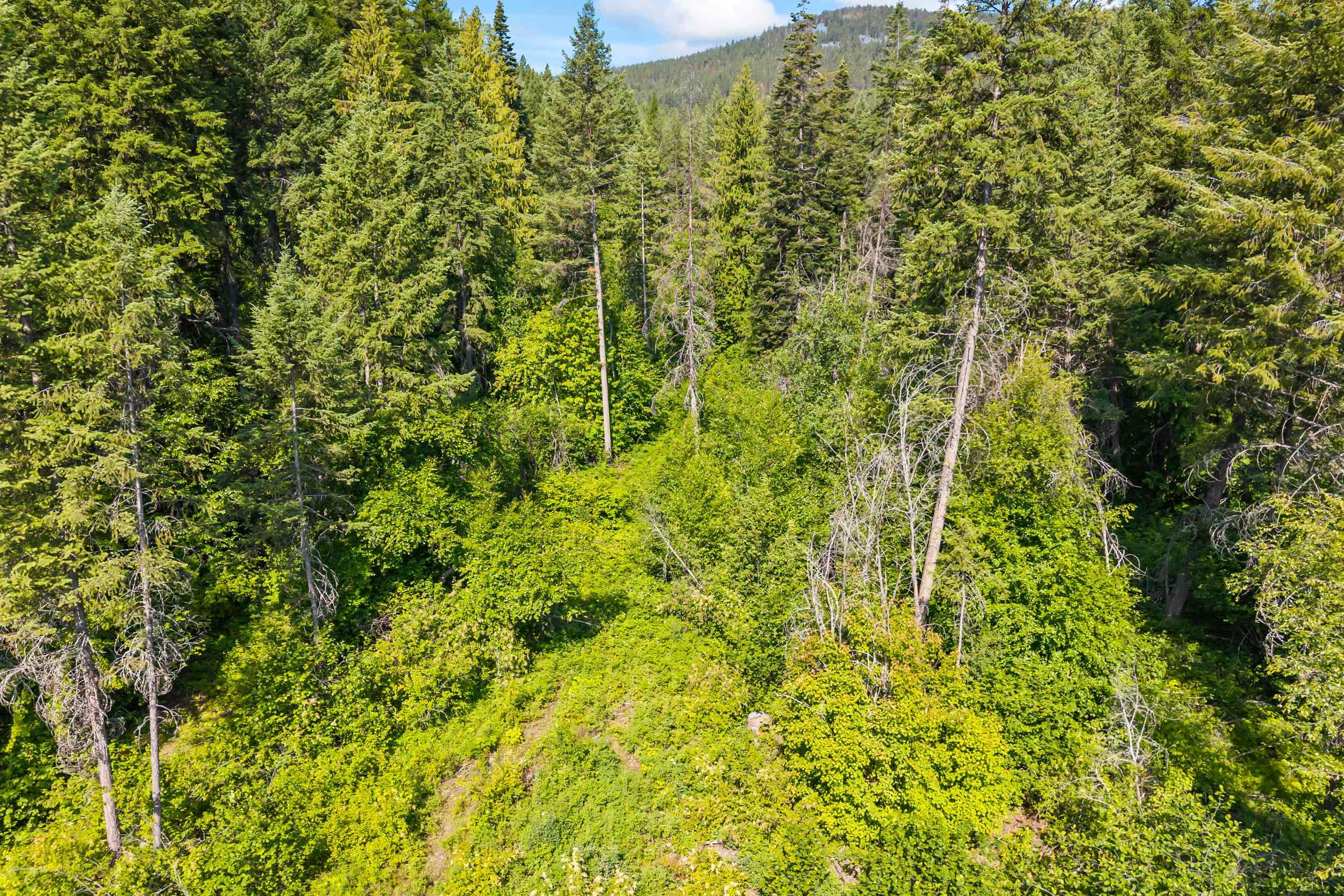 8-xx Nancy Creek Road Kettle Falls, WA 99141 - Photo 26 of 46