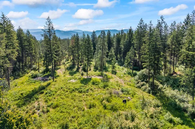 $235,000 | 8-xx Nancy Creek Road, Kettle Falls, WA 99141