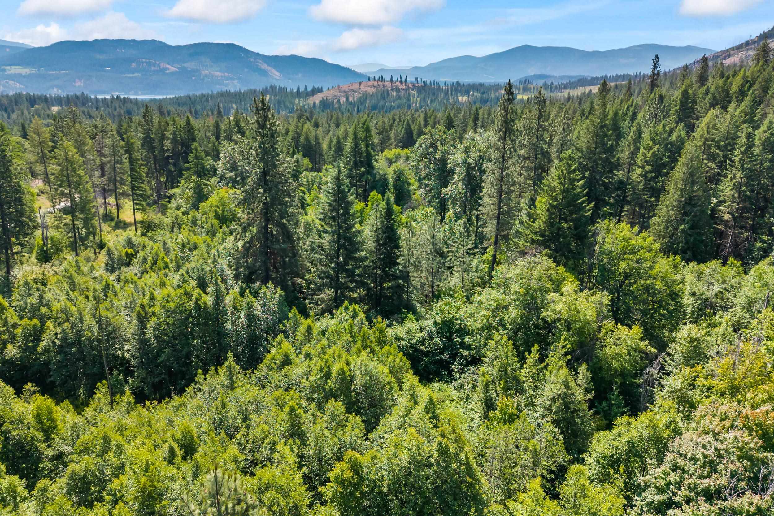 8-xx Nancy Creek Road Kettle Falls, WA 99141 - Photo 28 of 46