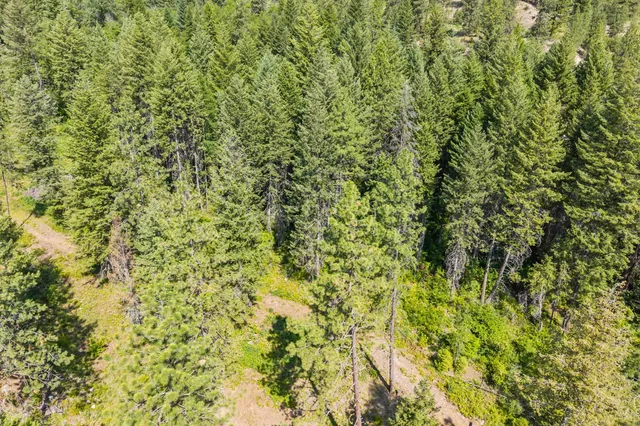 $235,000 | 8-xx Nancy Creek Road, Kettle Falls, WA 99141
