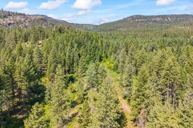 $235,000 | 8-xx Nancy Creek Road, Kettle Falls, WA 99141