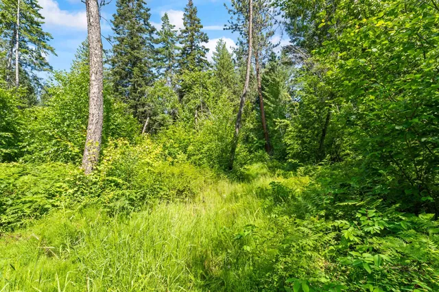 $235,000 | 8-xx Nancy Creek Road, Kettle Falls, WA 99141