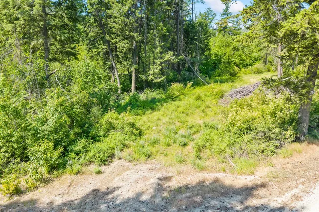 $235,000 | 8-xx Nancy Creek Road, Kettle Falls, WA 99141