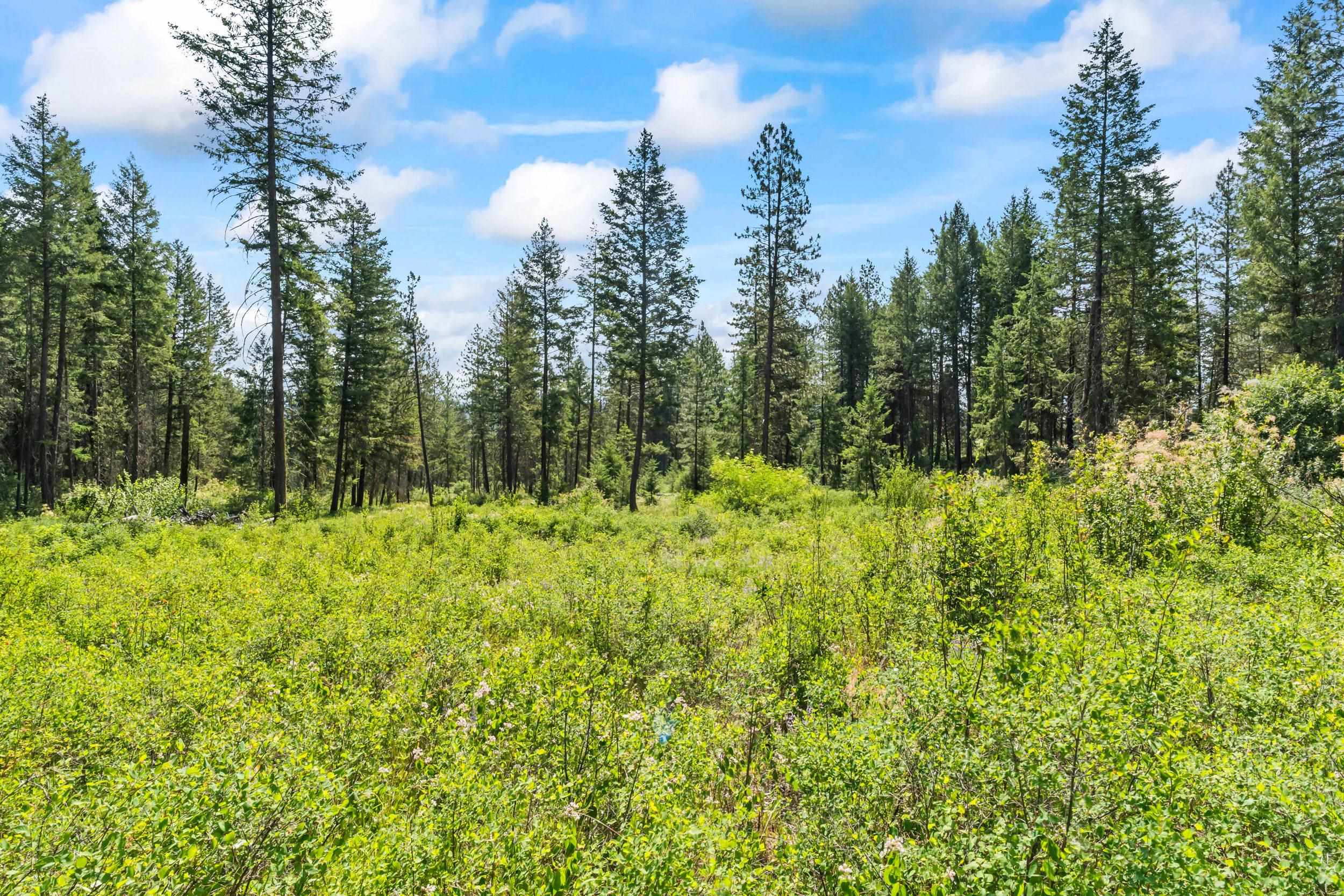 8-xx Nancy Creek Road Kettle Falls, WA 99141 - Photo 35 of 46