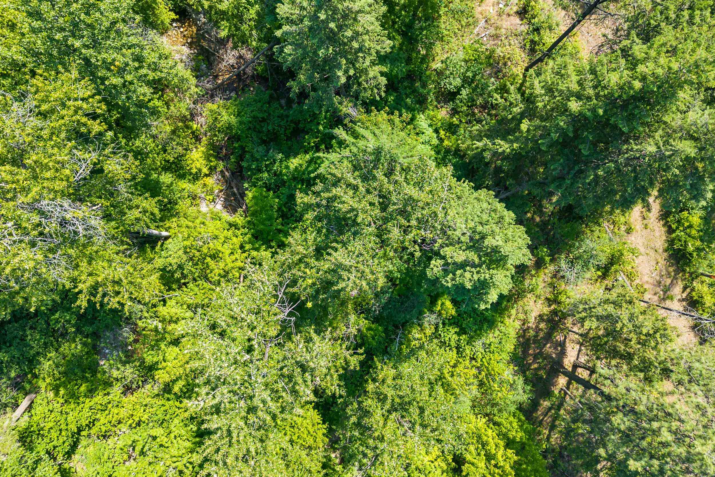 8-xx Nancy Creek Road Kettle Falls, WA 99141 - Photo 36 of 46