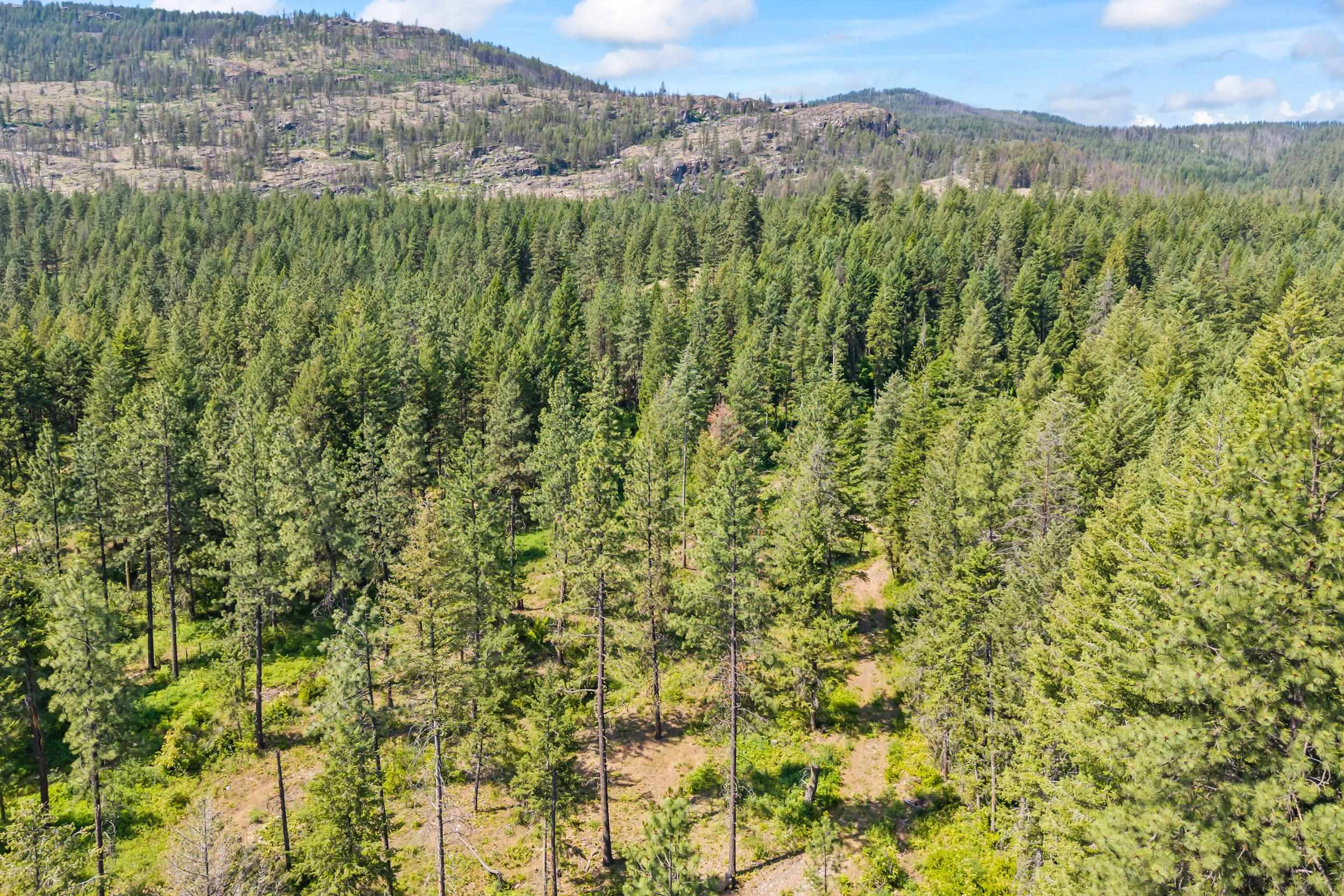 8-xx Nancy Creek Road Kettle Falls, WA 99141 - Photo 37 of 46