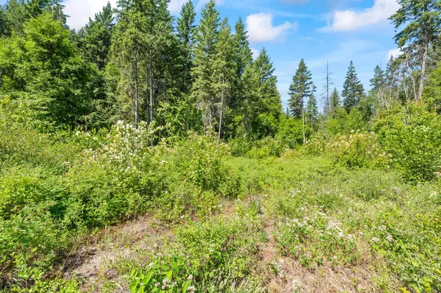 $235,000 | 8-xx Nancy Creek Road, Kettle Falls, WA 99141