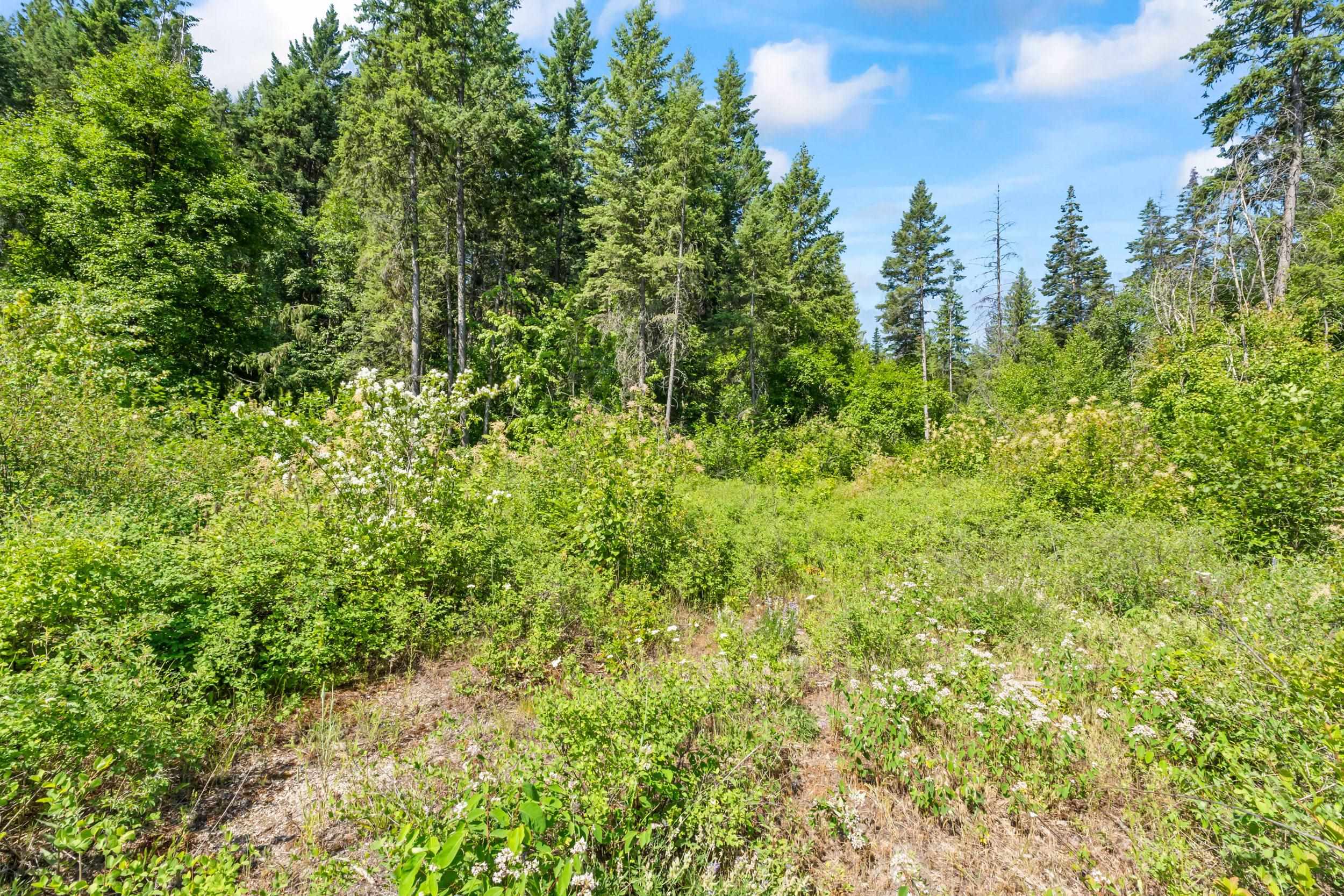 8-xx Nancy Creek Road Kettle Falls, WA 99141 - Photo 38 of 46