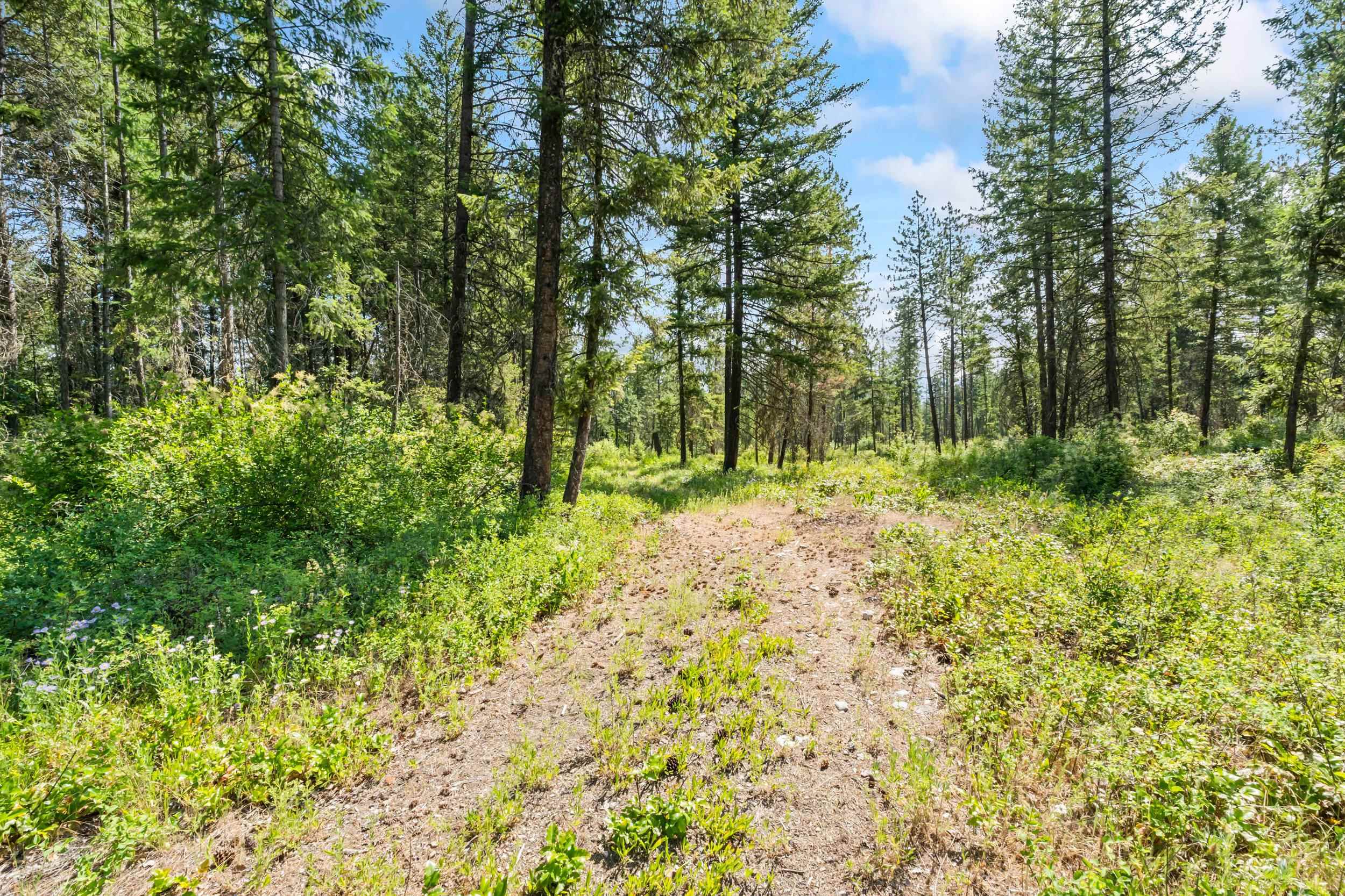 8-xx Nancy Creek Road Kettle Falls, WA 99141 - Photo 40 of 46