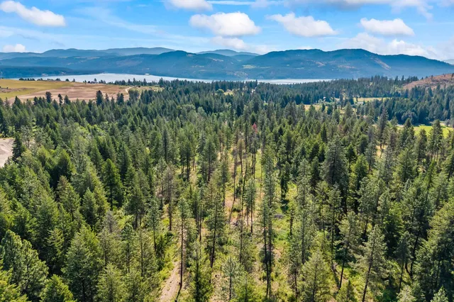 $235,000 | 8-xx Nancy Creek Road, Kettle Falls, WA 99141