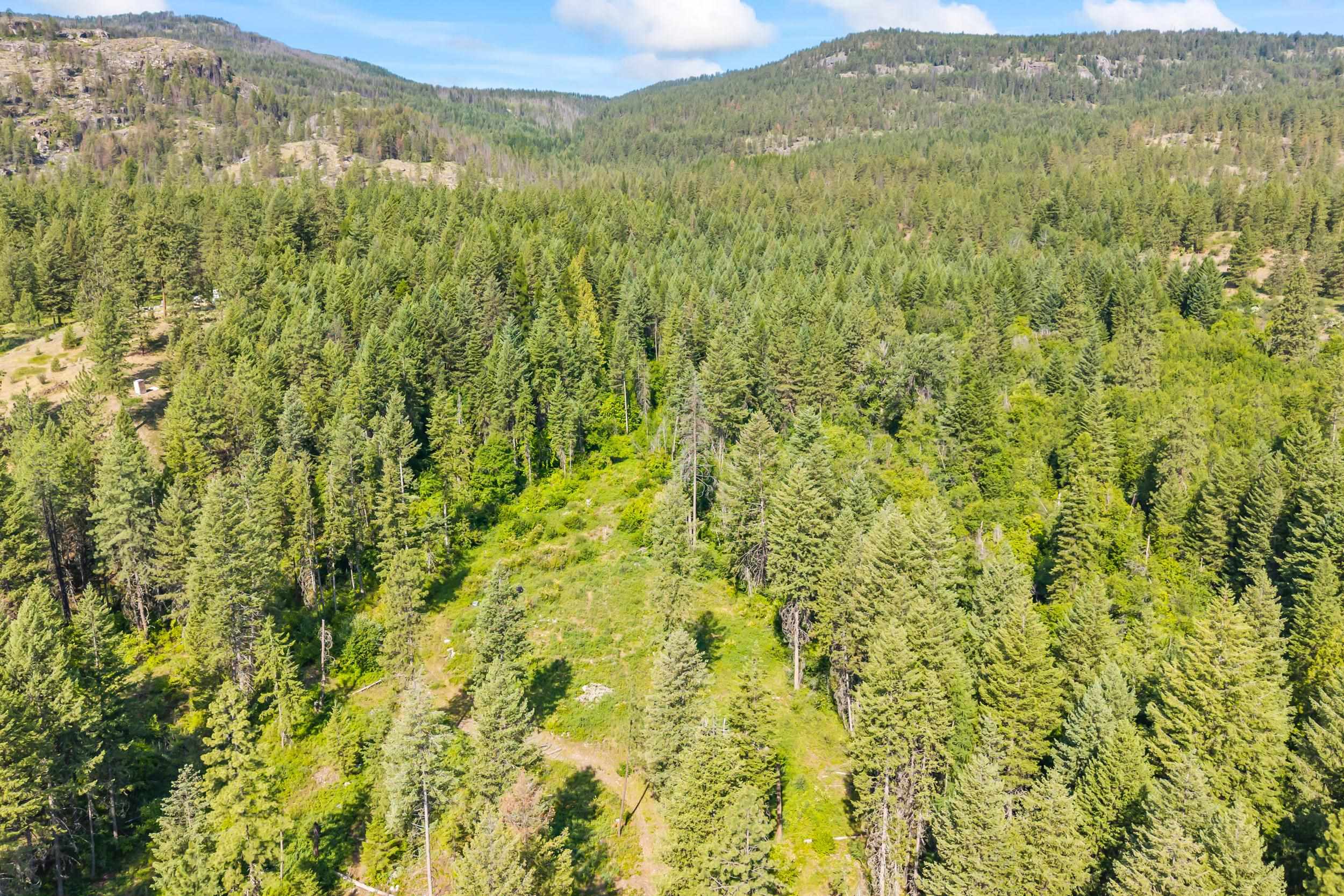 8-xx Nancy Creek Road Kettle Falls, WA 99141 - Photo 5 of 46