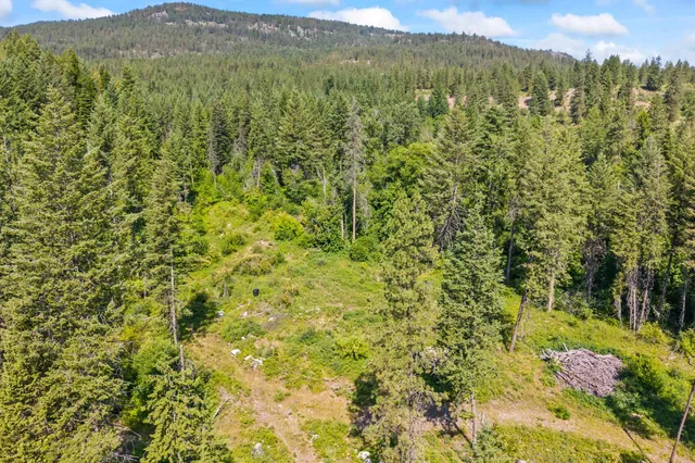 $235,000 | 8-xx Nancy Creek Road, Kettle Falls, WA 99141