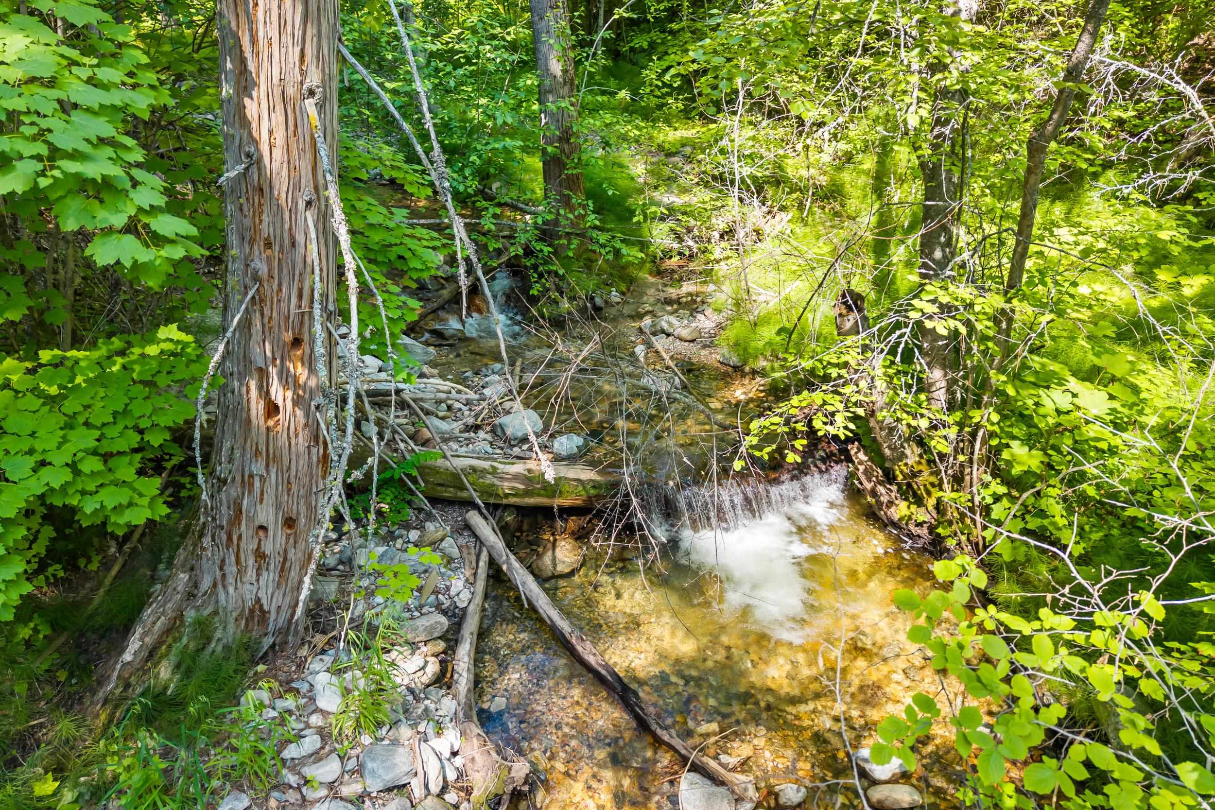 8-xx Nancy Creek Road Kettle Falls, WA 99141 - Photo 7 of 46