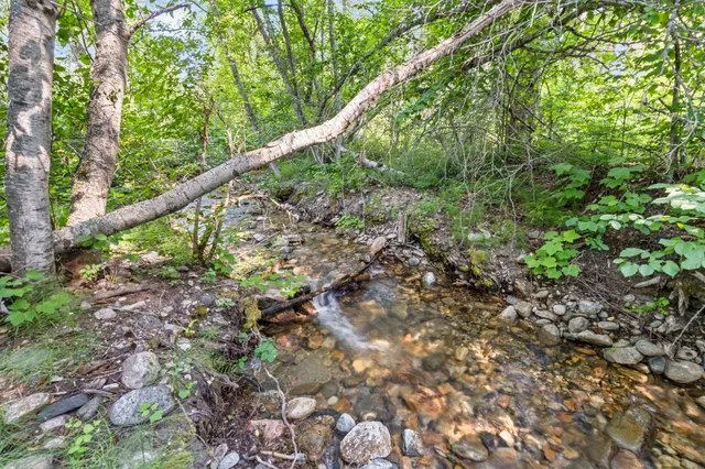 $235,000 | 8-xx Nancy Creek Road, Kettle Falls, WA 99141