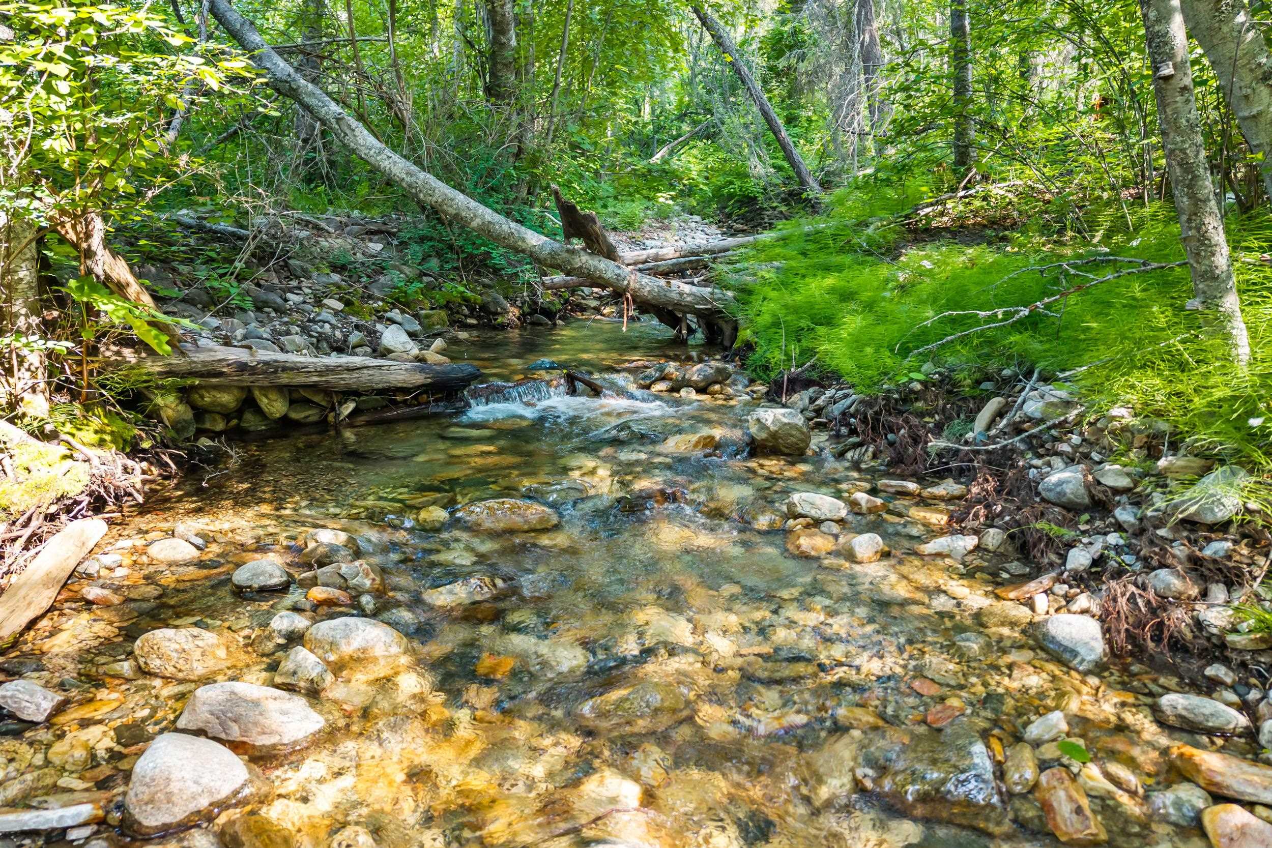 8-xx Nancy Creek Road Kettle Falls, WA 99141 - Photo 10 of 46