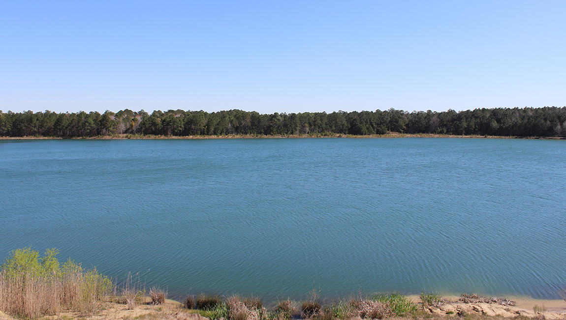 404 Bowstring Drive Huger, SC 29450 - Photo 31 of 40 The Bridges at Seven Lakes Lake 2