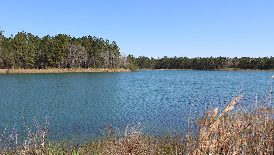 404 Bowstring Drive Huger, SC 29450 - Photo 32 of 40 The Bridges at Seven Lakes Lake 3