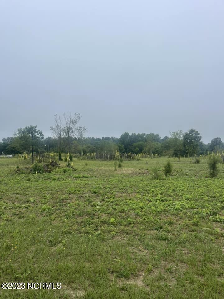 Tbd Rummage Pack House Road Ellerbe, NC 28338 - Photo 1 of 3 356052453_748590700391040_39329483724638