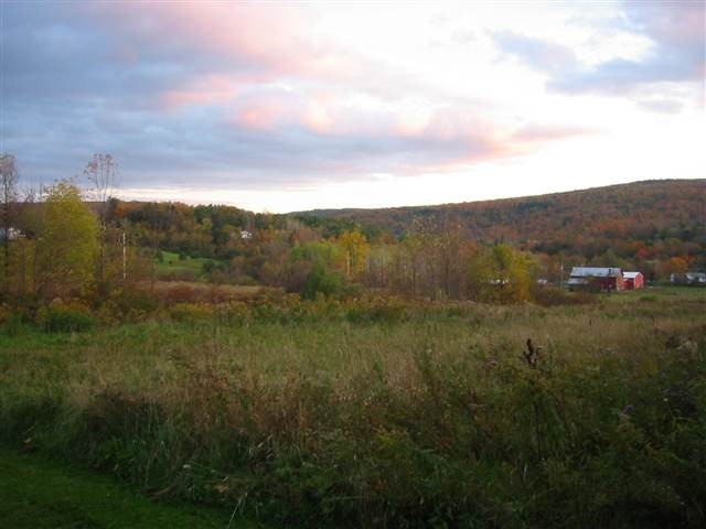 63 Turner Road Berne, NY 12023 - Photo 10 of 12 Photo 10