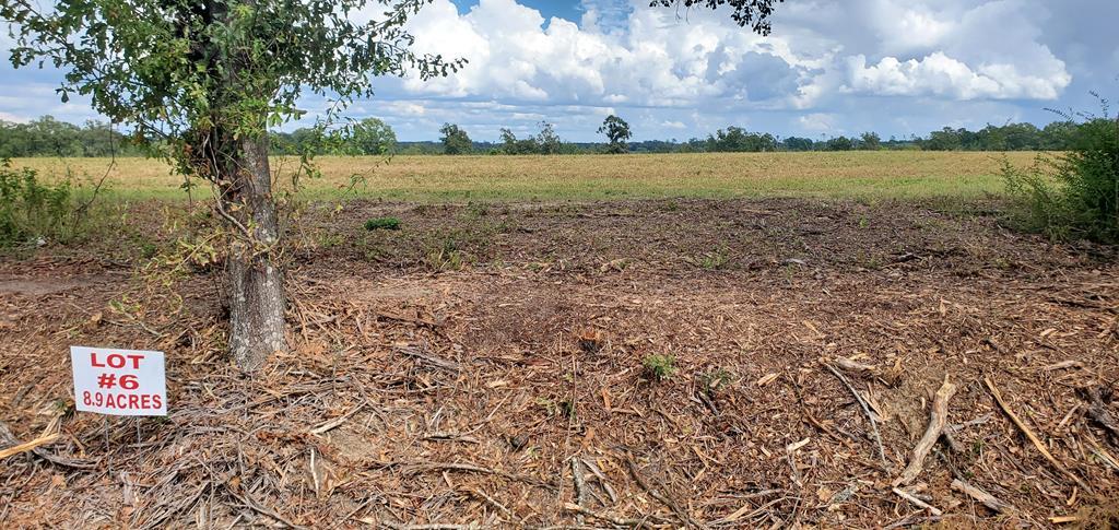 8.9-acre Pea Market Road Columbia, AL 36319 - Photo 1 of 1