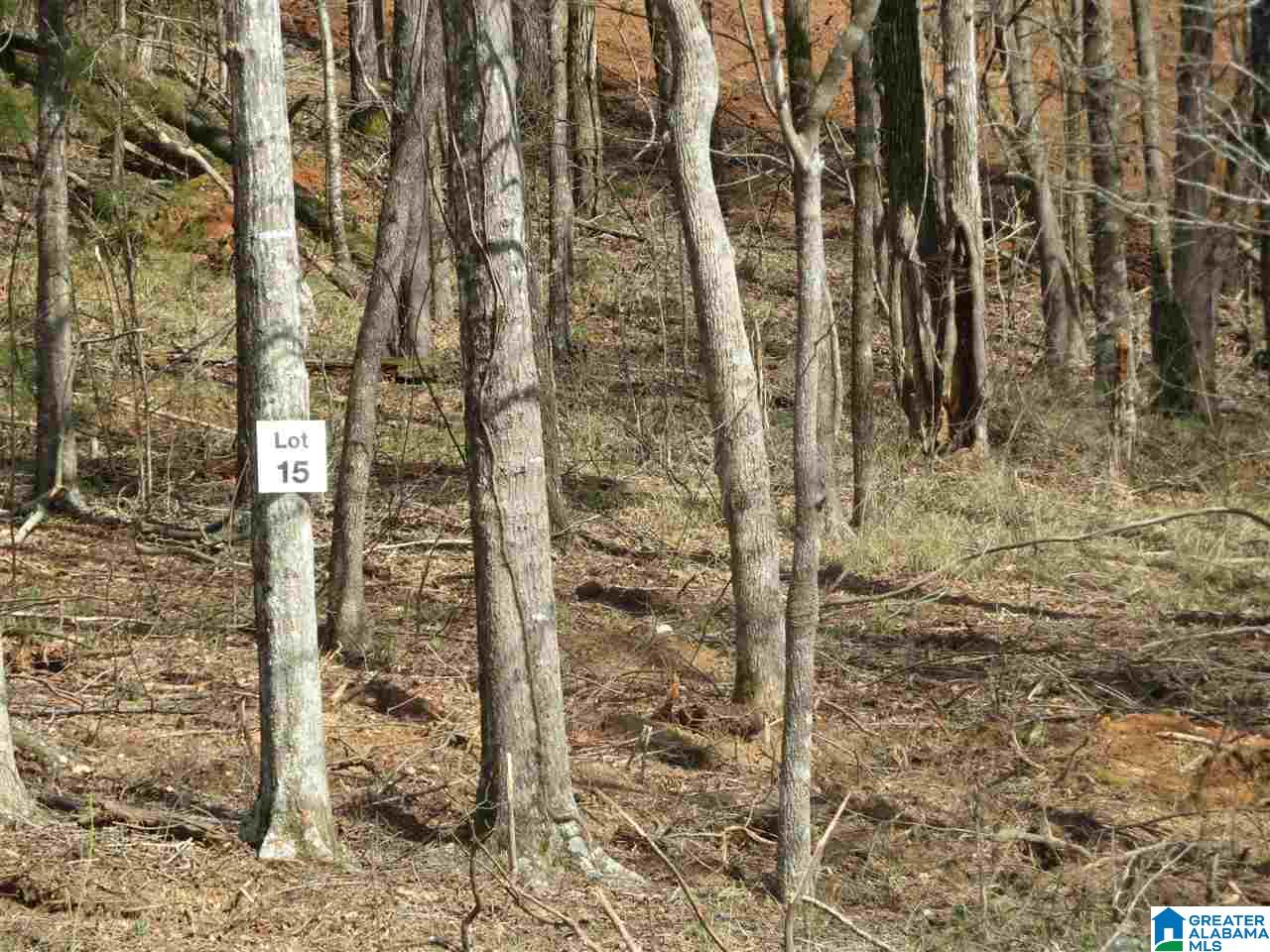 Lot 15 Eagle Point Trace, Unit 15 Alexander City, AL 35010 - Photo 3 of 11