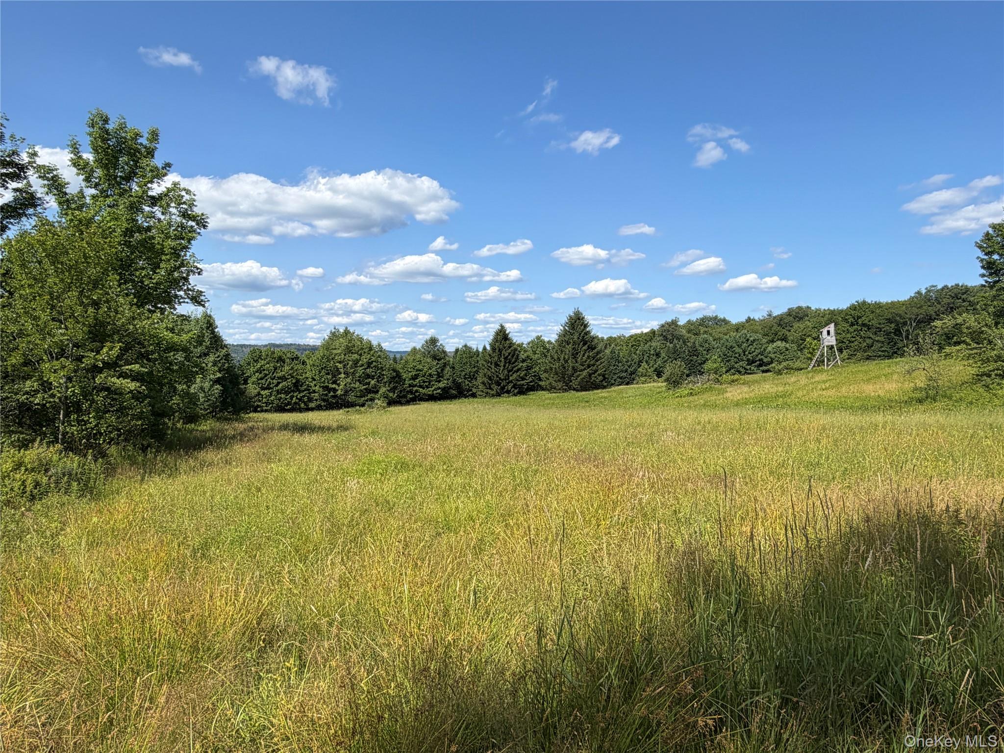 Bert Medlar Road Hancock, NY 13783 - Photo 3 of 17