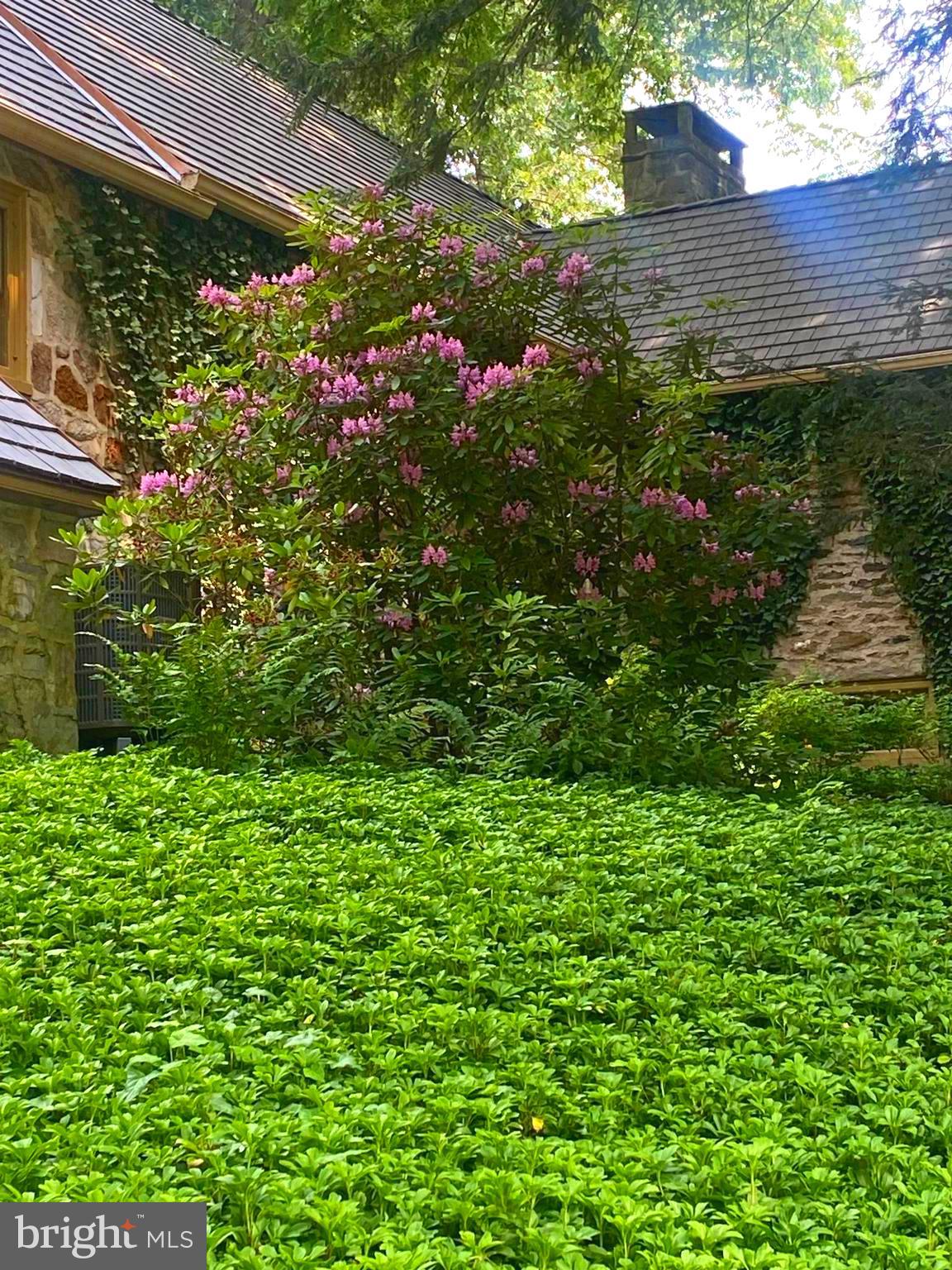 876 Brower Road Wayne, PA 19087 - Photo 58 of 59 Flowering specimen trees and shrubs